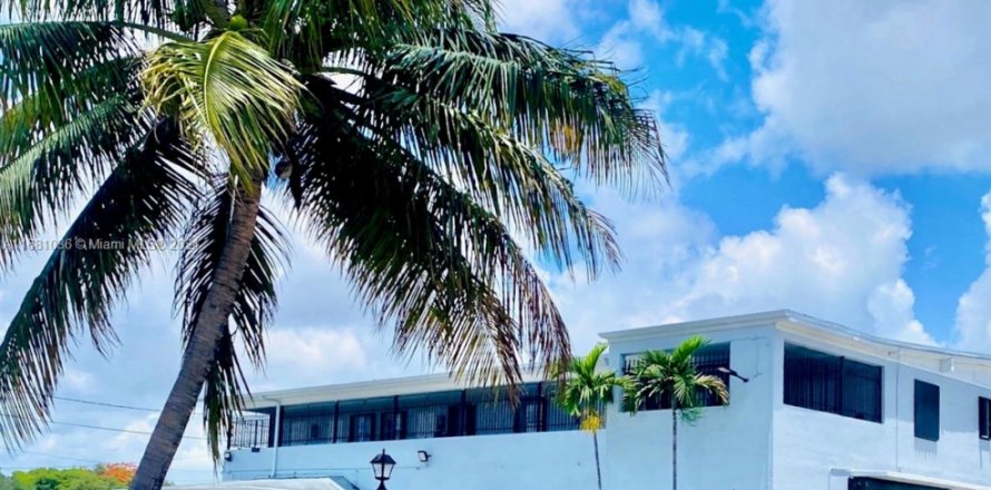 Commercial property in Miami, Florida № 1703742