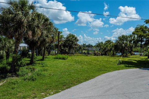 Land in Port Charlotte, Florida № 1798057 - photo 11