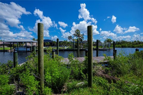 Land in Port Charlotte, Florida № 1798057 - photo 27