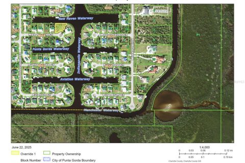 Land in Port Charlotte, Florida № 1798057 - photo 6