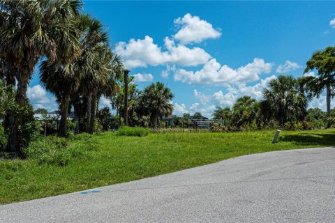 Land in Port Charlotte, Florida № 1798057 - photo 8