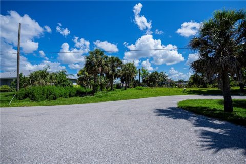 Land in Port Charlotte, Florida № 1798057 - photo 7