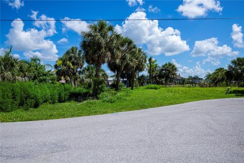 Land in Port Charlotte, Florida № 1798057 - photo 9