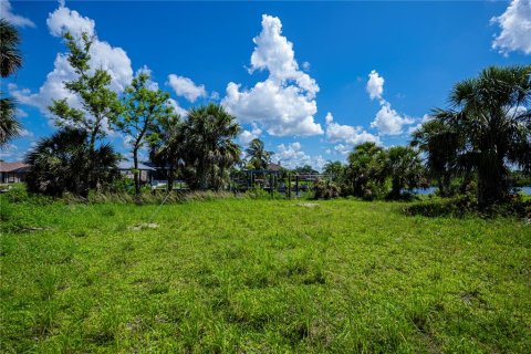 Land in Port Charlotte, Florida № 1798057 - photo 2