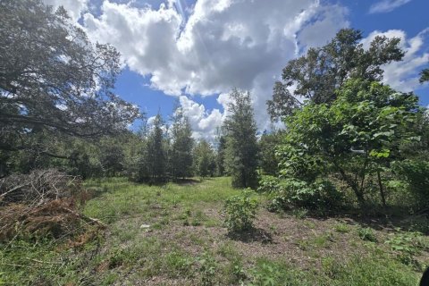Land in Spring Hill, Florida № 2376655