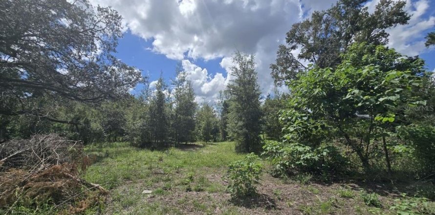 Land in Spring Hill, Florida № 2376655