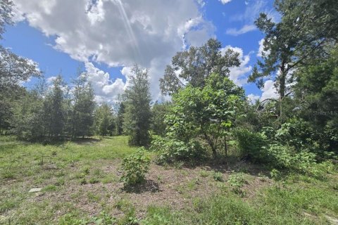 Land in Spring Hill, Florida № 2376655 - photo 3