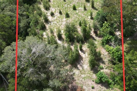 Land in Spring Hill, Florida № 2376655 - photo 4