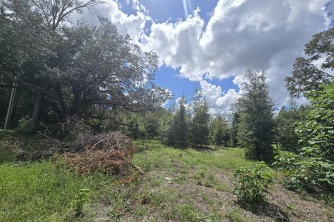 Land in Spring Hill, Florida № 2376655 - photo 2