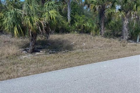 Land in Port Charlotte, Florida № 1512615 - photo 6