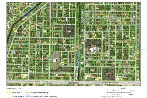 Land in Port Charlotte, Florida № 1512615 - photo 7