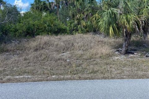 Land in Port Charlotte, Florida № 1512615 - photo 5