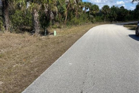Land in Port Charlotte, Florida № 1512615 - photo 1