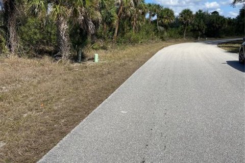 Land in Port Charlotte, Florida № 1512615 - photo 3