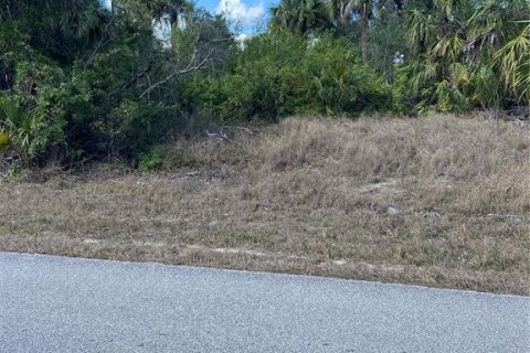 Land in Port Charlotte, Florida № 1512615 - photo 2
