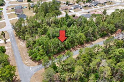 Land in Ocala, Florida № 1656761 - photo 1