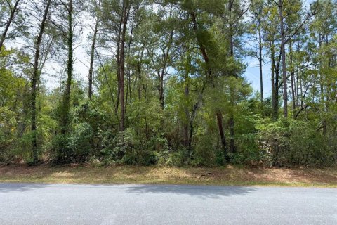 Land in Ocala, Florida № 1656761 - photo 7
