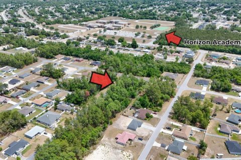 Land in Ocala, Florida № 1656761 - photo 5