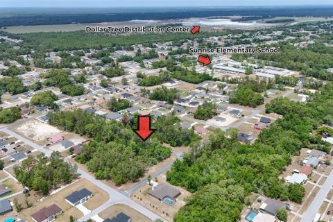 Land in Ocala, Florida № 1656761 - photo 6