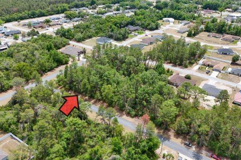 Land in Ocala, Florida № 1656761 - photo 2