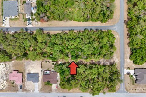 Land in Ocala, Florida № 1656761 - photo 4