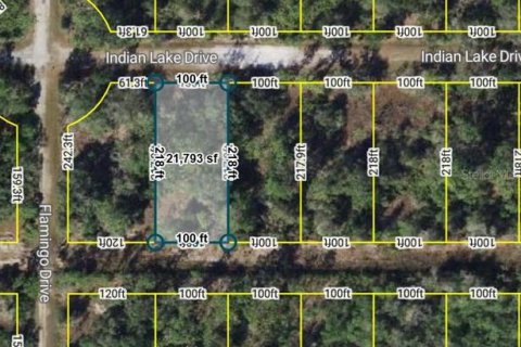 Land in Indian lake estates, Florida № 2162646
