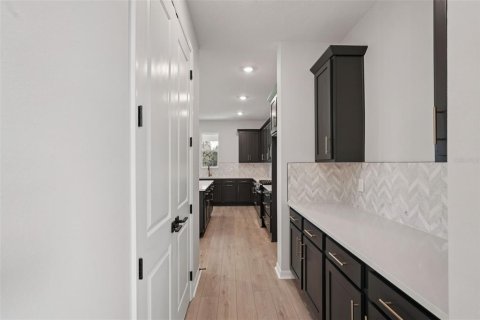 House in Wimauma, Florida 4 bedrooms, 284.1 sq.m. № 2284521 - photo 5