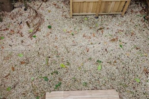 Adosado en alquiler en Miami, Florida, 3 dormitorios, 187.38 m2 № 1946562 - foto 26