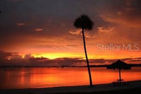 Condo in Saint Petersburg, Florida, 2 bedrooms  № 1525454 - photo 21