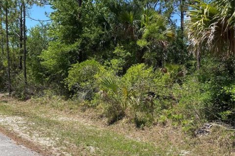 Terreno en venta en Palm Coast, Florida № 1755279 - foto 1