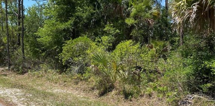 Terreno en Palm Coast, Florida № 1755279