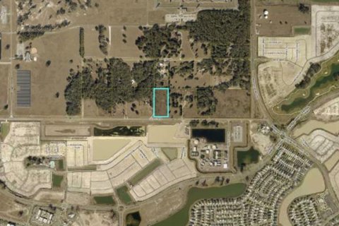Immobilier commercial à Sumter, Floride № 2128063