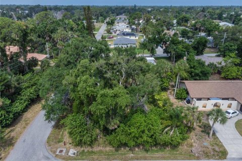 Terreno en venta en Venice, Florida № 1816785 - foto 14