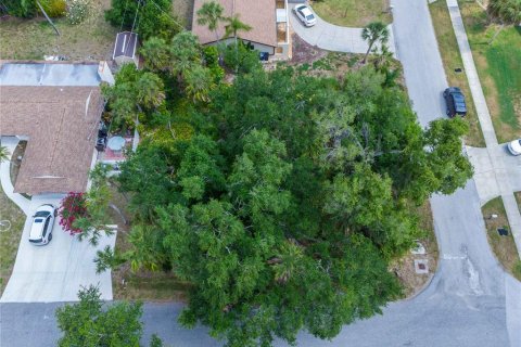 Terreno en venta en Venice, Florida № 1816785 - foto 6
