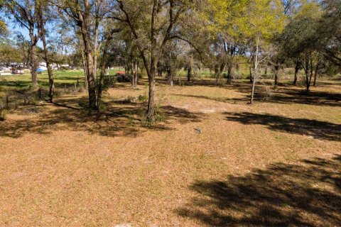 Land in Ocala, Florida № 1736399 - photo 12