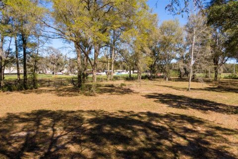 Land in Ocala, Florida № 1736399 - photo 15