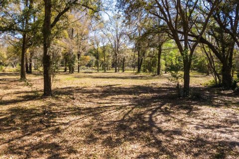 Land in Ocala, Florida № 1736399 - photo 26