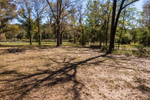 Land in Ocala, Florida № 1736399 - photo 29