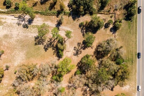 Land in Ocala, Florida № 1736399 - photo 11