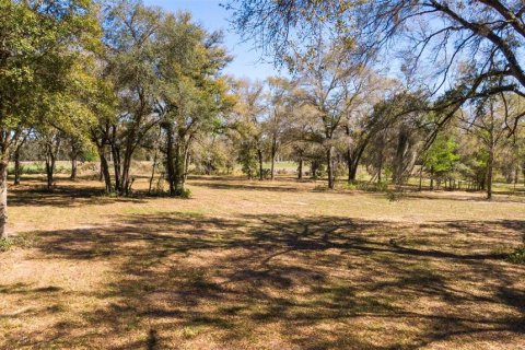 Land in Ocala, Florida № 1736399 - photo 16