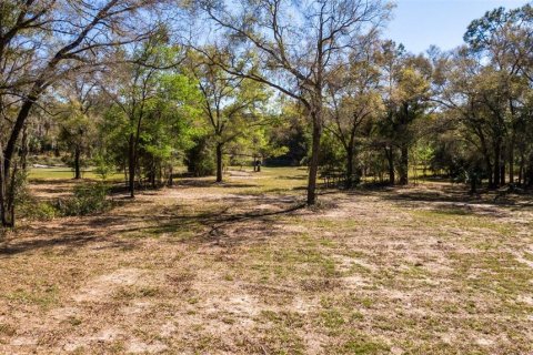 Land in Ocala, Florida № 1736399 - photo 19