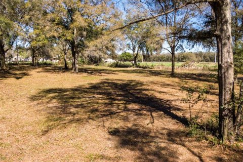 Land in Ocala, Florida № 1736399 - photo 22