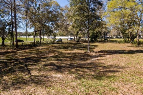 Land in Ocala, Florida № 1736399 - photo 21