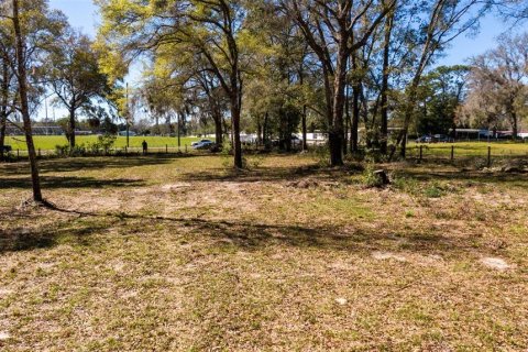 Land in Ocala, Florida № 1736399 - photo 28