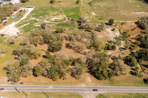 Land in Ocala, Florida № 1736399 - photo 1