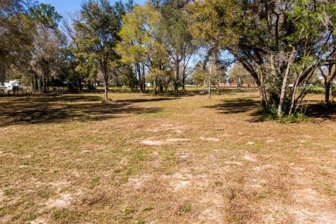 Land in Ocala, Florida № 1736399 - photo 23
