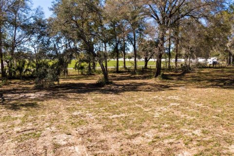 Land in Ocala, Florida № 1736399 - photo 24