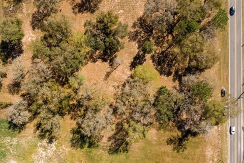 Land in Ocala, Florida № 1736399 - photo 10