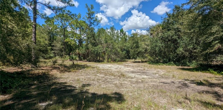 Land in Punta Gorda, Florida № 2224105