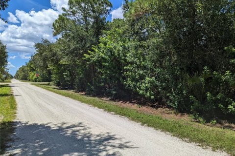 Land in Punta Gorda, Florida № 2224105 - photo 2